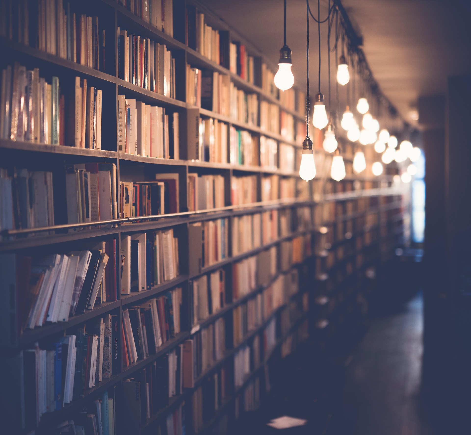 Three power pieces for your reading advocacy playbook