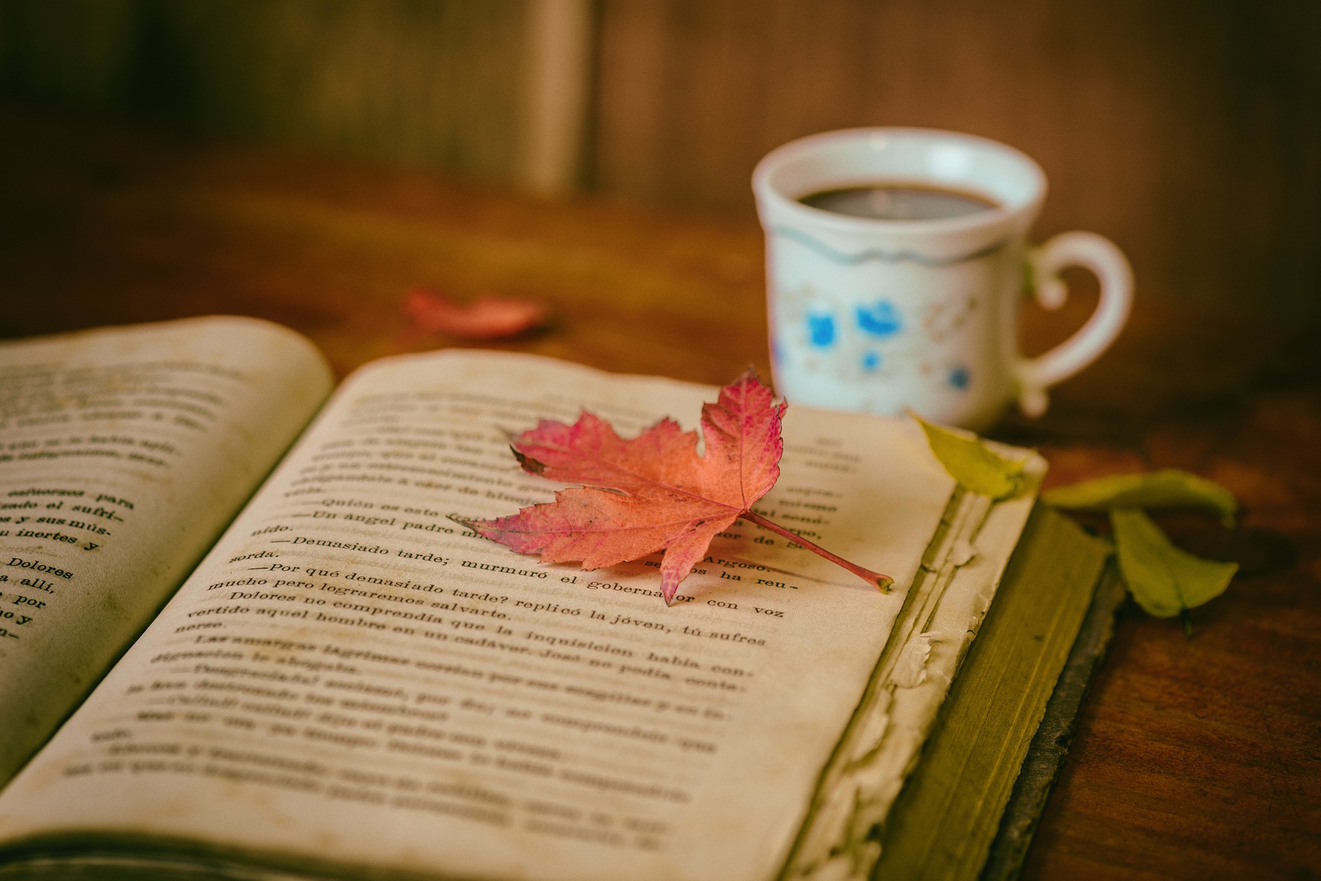 Book Club Fun