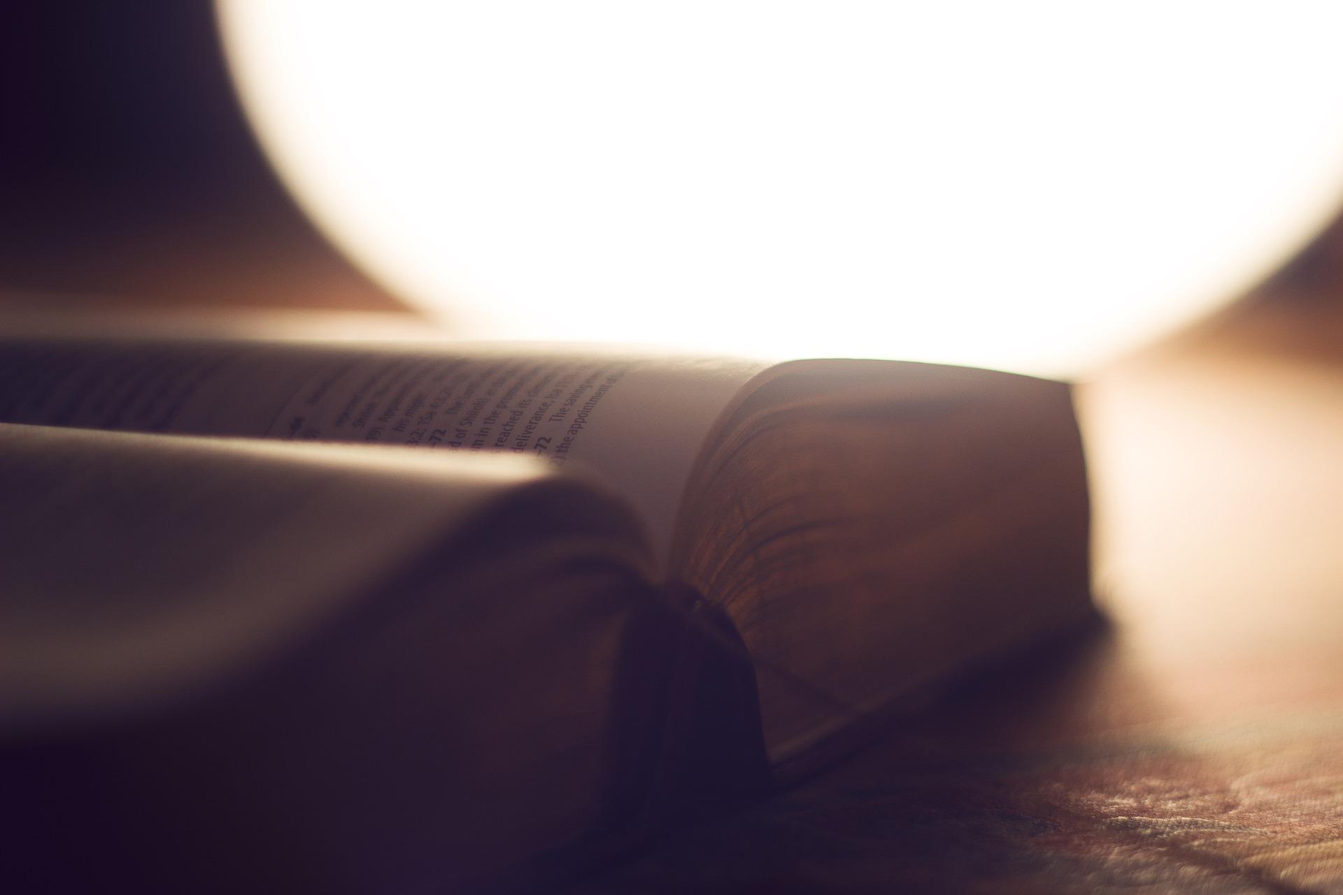 Aesthetic and Efferent Reading